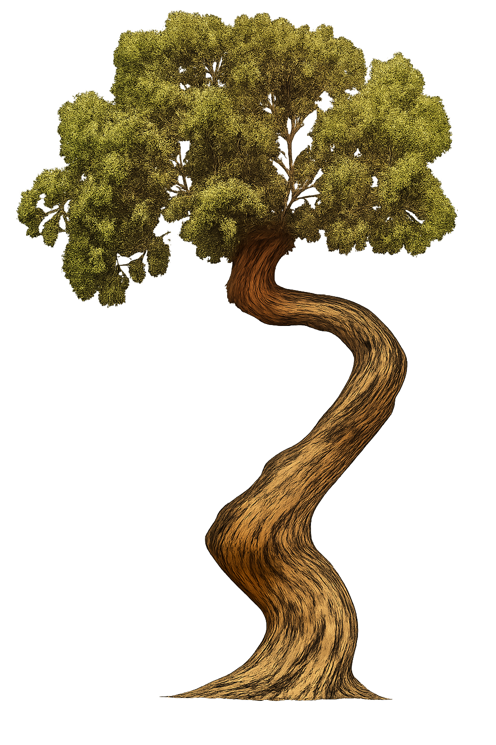 Image of Tree